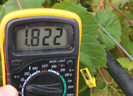 Leaf Sensor and Digital Meter Pak